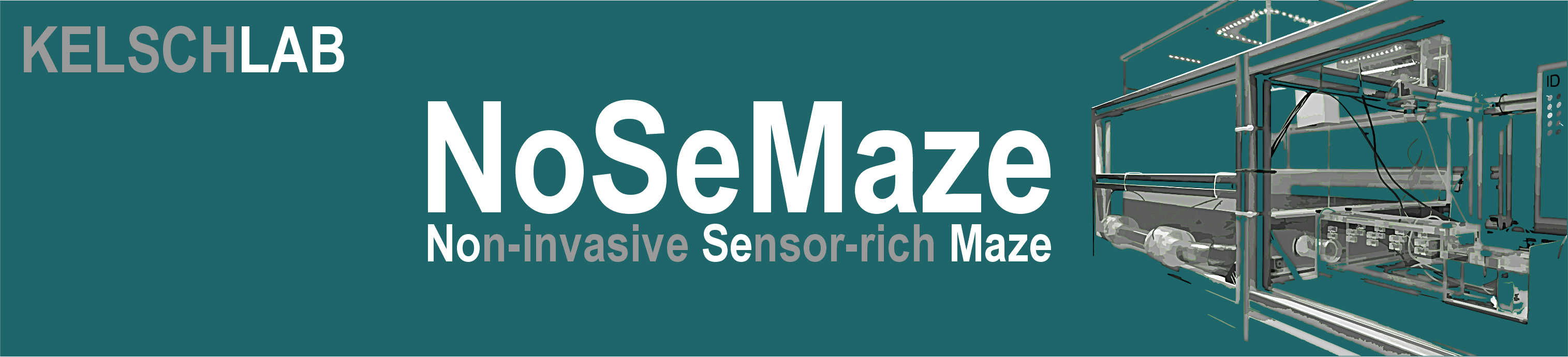 NoSeMaze - Non-invasive Sensor-rich Maze